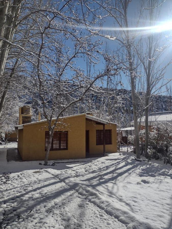 Cabana Pura Vida Potrerillos Exteriör bild